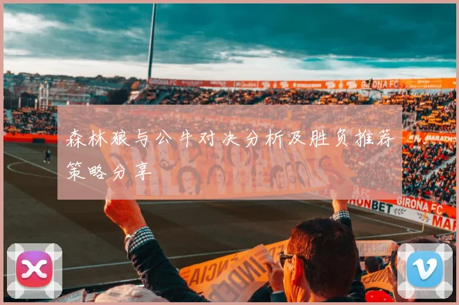 森林狼与公牛对决分析及胜负推荐策略分享