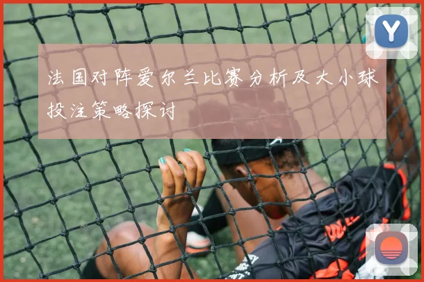 法国对阵爱尔兰比赛分析及大小球投注策略探讨