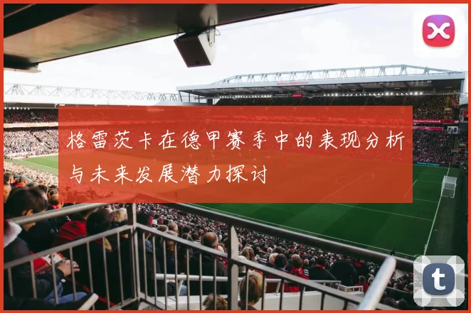 格雷茨卡在德甲赛季中的表现分析与未来发展潜力探讨